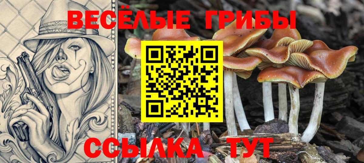 Ртищево  Галлюциногенные грибы Psilocybe  Вход с VPN 