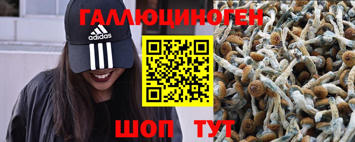 Псилоцибиновые грибы мухоморы Ртищево